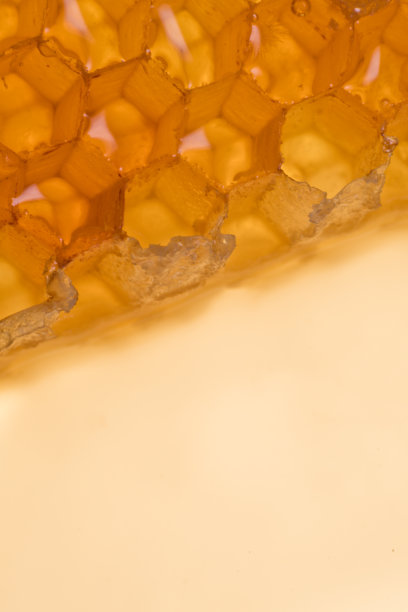 蜂房边缘呈角状图片下载