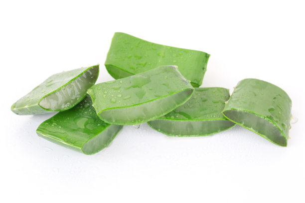 芦荟的叶子图片下载