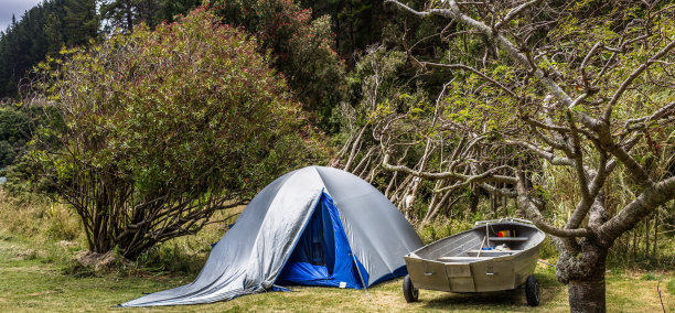 在树荫下露营图片下载