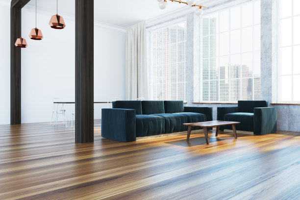 沙发图片素材ID：314012784