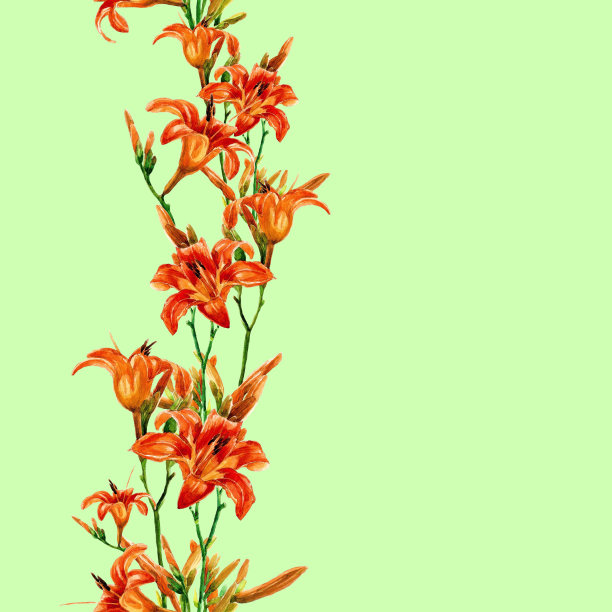 水彩百合花无缝图案图片下载