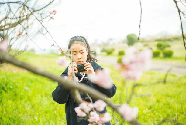 一个女孩在拍樱花的照片。图片下载