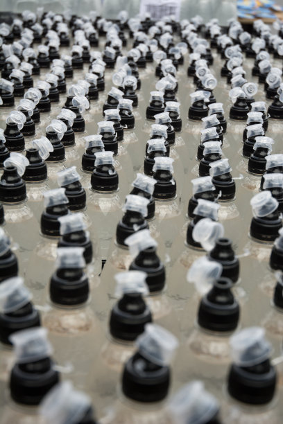 瓶装水的顶部图片下载