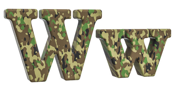 伪装军队字母W, 3D渲染孤立的白色背景图片下载