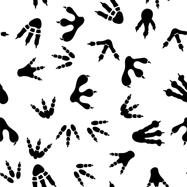 一套不同的版画。无缝模式图片下载