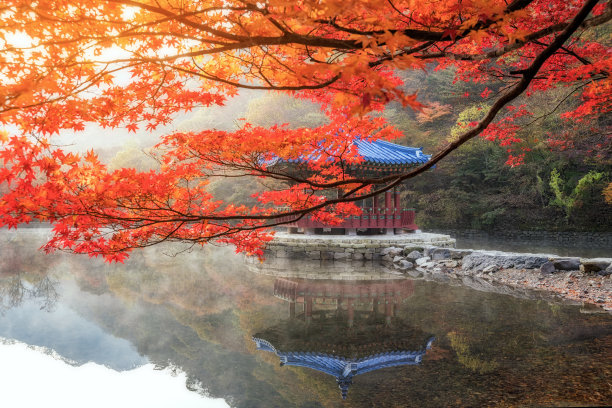 韩国najang山国家公园的秋枫图片下载