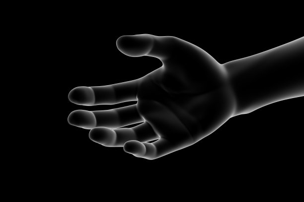 手，人体的一部分图片下载