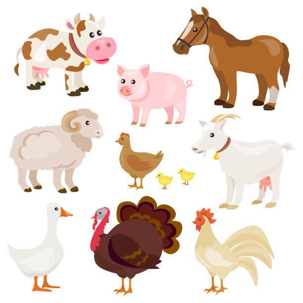 可爱的农场动物隔离图片下载