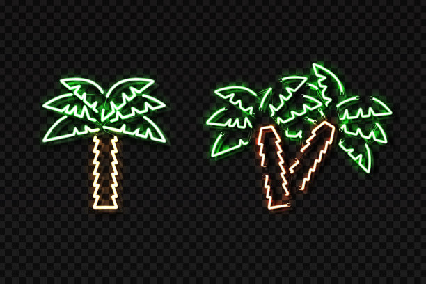 矢量现实孤立的霓虹灯棕榈装饰和覆盖在透明的背景。放松和夏日的概念。图片下载