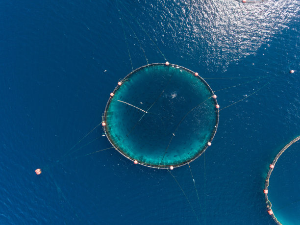 开放海鱼养殖场图片下载