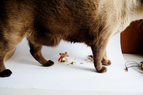 圣诞节装饰在孤立的白色背景与复制空间图片下载