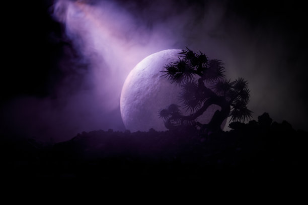 剪影树在满月的背景。满月在日本风格的树上升起，映衬着朦胧的天空。图片下载