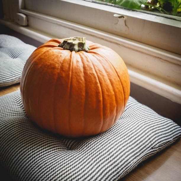 一个橙色的南瓜，放在一个带条纹的灰色靠垫上，旁边是扇窗。图片下载