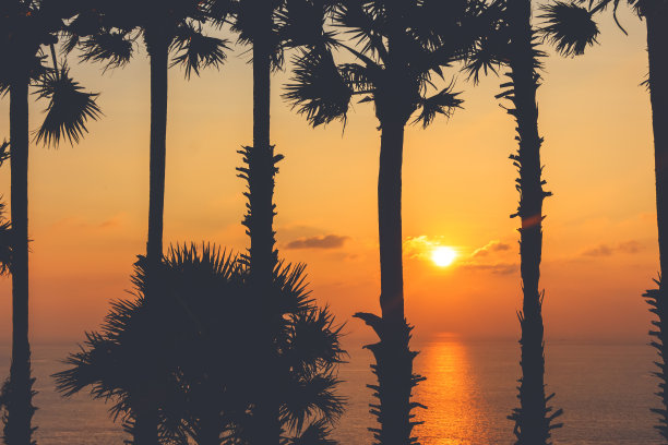 棕榈树的剪影和美丽的大海在夕阳下的泰国，普吉岛。图片下载