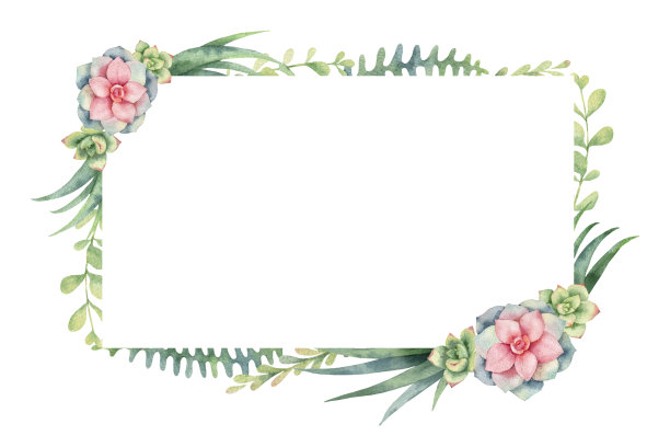 水彩矢量框架的仙人掌和肉质植物孤立在白色的背景。图片下载