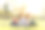年轻的女学生一起学习，读书在大学和知识在外面或公园校园放松的微笑在夏季的季节图片下载