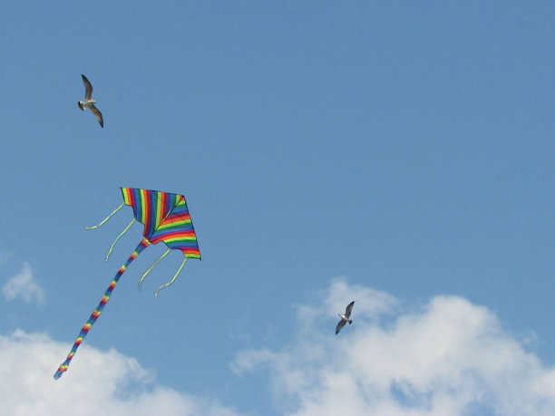 彩虹色的风筝在蓝色的天空中盘旋。快乐童年的玩具。万里无云的心情。梦想飞起。飞向天空。成长的孩子。户外活动。积极的生活方式。Copyspace。图片下载