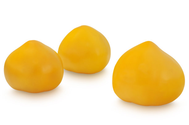 三个黄色的番茄孤立在白色背景上图片下载