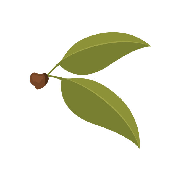 白色背景，绿叶，带有茎的樱桃图片下载