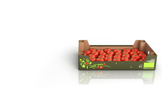 新鲜的西红柿在盒子孤立的白色背景反射和放置文本3d图片下载