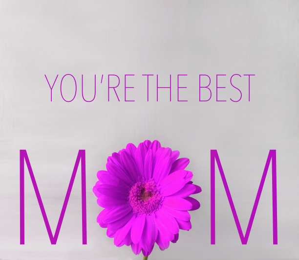 紫色的杰维拉·黛西和母亲节贺卡图片下载