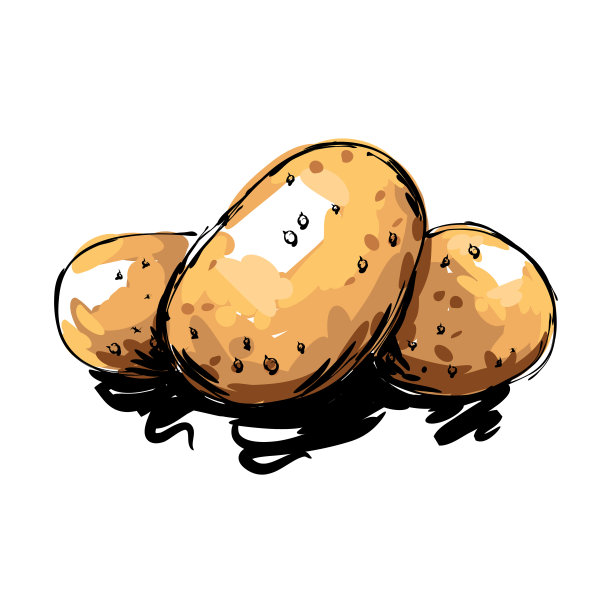 土豆画图片下载