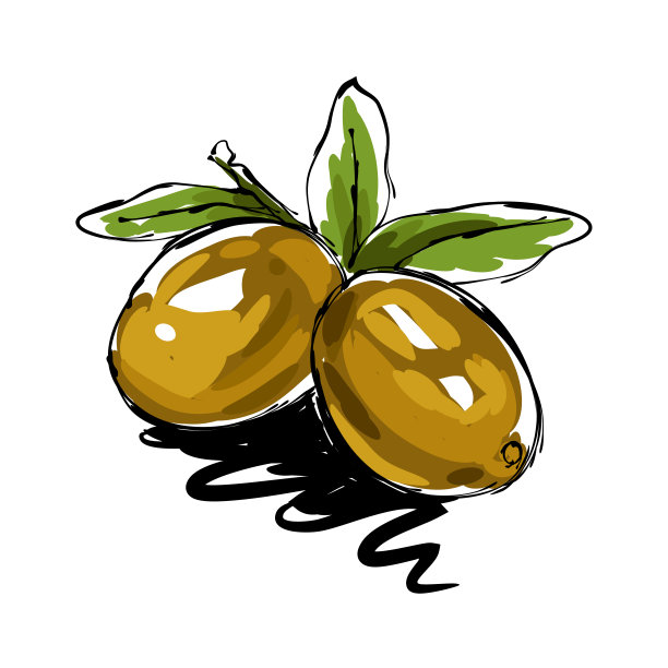 橄榄画图片下载