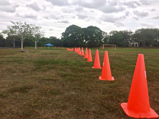 运动场的橙色交通锥图片下载
