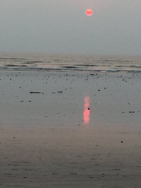 落日的影像图片下载