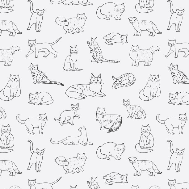 猫-动物载体模式图片下载