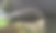 穿过威拉米特河滨河公园的灯光人行天桥图片下载