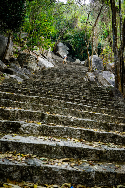 山中的石阶素材图片