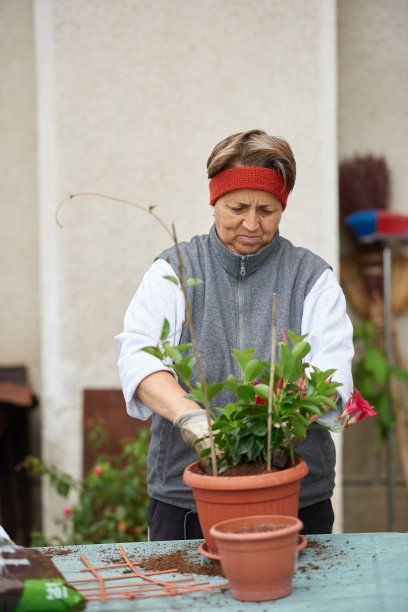 女性高级园艺图片下载