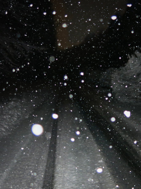 薄谷雪花下雪冬天危险夜间道路驾驶情况图片下载
