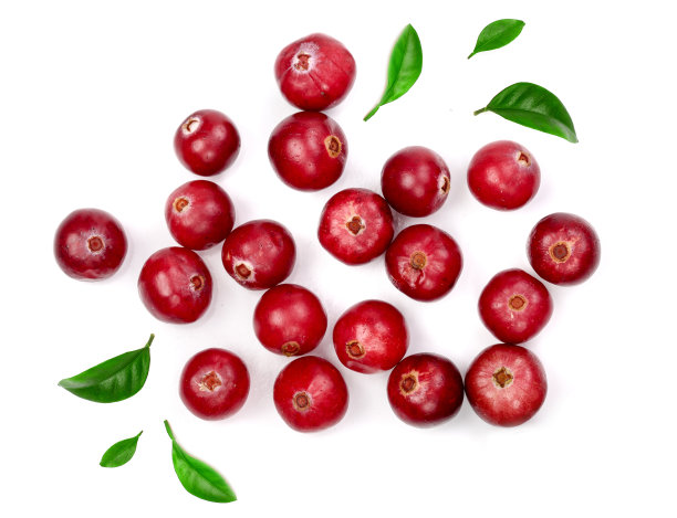 蔓越莓与叶子孤立的白色背景特写俯视图图片下载