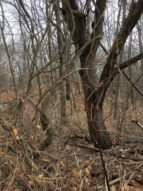 IMG_3643民兵自行车专用道路图片下载