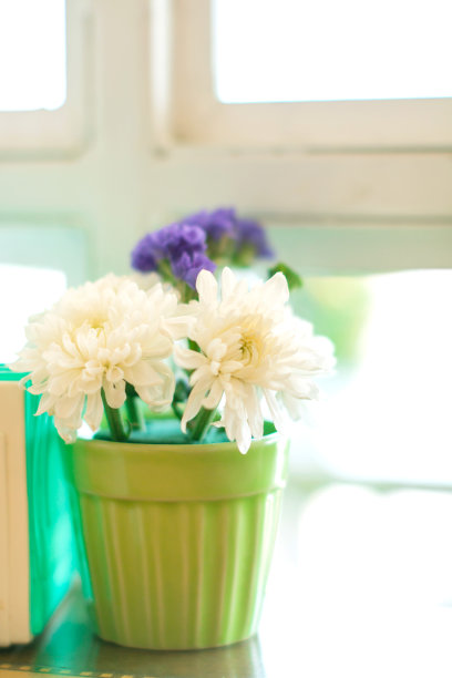 窗户上装饰着白色的花朵，绿色的花盆。图片下载