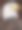 秃鹰（哈利图斯白细胞）素材图片