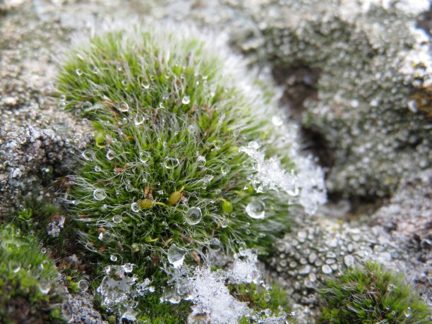 17、青山绿水，绿草如茵图片下载