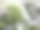 17、青山绿水，绿草如茵图片下载
