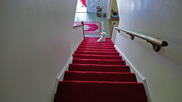 等着出门图片下载