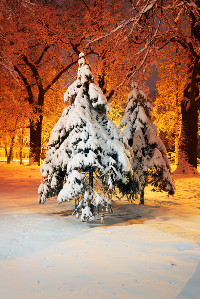 雪后的傍晚公园图片下载