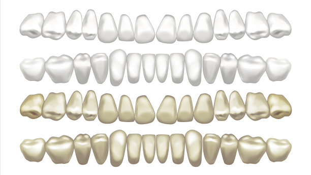 牙齿美白向量。之前和之后。牙齿外表美白。孤立的插图图片下载