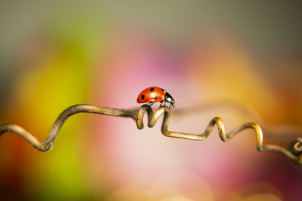 《路上的小扭曲》图片下载