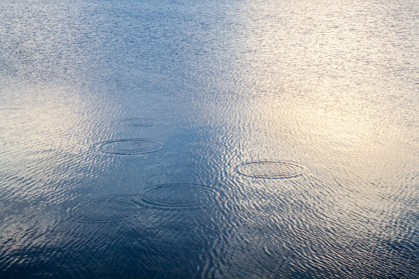 水面反射。图片下载