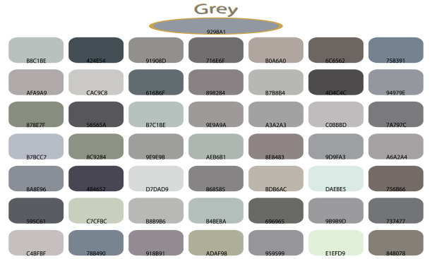 灰色的阴影孤立在白色背景上。灰色调和色调。用代码给背景上色。矢量插图调色板。图片下载