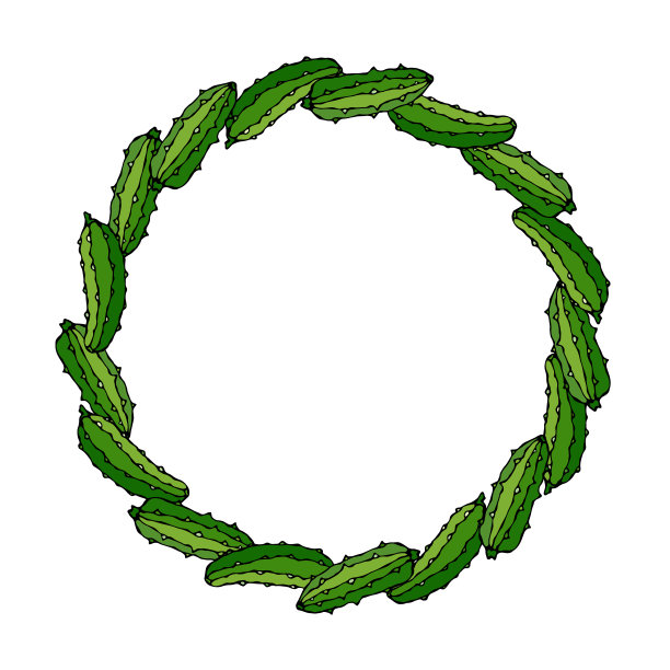 圈或圆形框架与绿色黄瓜或小黄瓜排列像多米诺骨牌。新鲜成熟蔬菜沙拉。健康的素食菜单。手绘矢量插图。Savoyar涂鸦风格素材图片