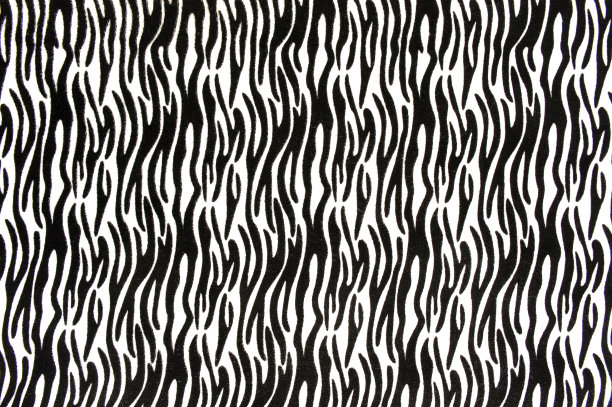纹理斑马。斑马条纹抽象图案。线条艺术背景，印花面料。黑白斑马条纹。照片。图片下载