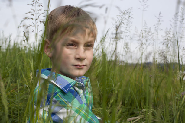 在草地上玩耍图片下载