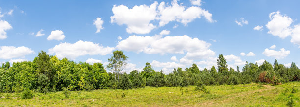 森林附近的空地图片下载